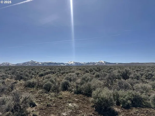 McDowell Creek Rd #Tl-600, Plush, OR 97637