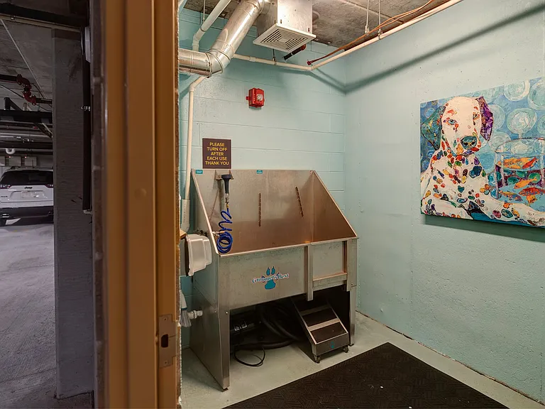 Forte at 84South Pet Spa