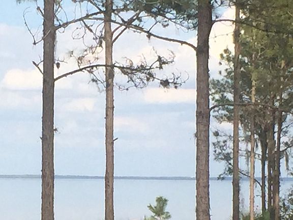 Lot view