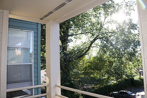 5th image of 857 NE 67th St APT 204