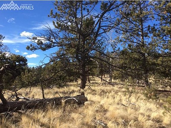2nd image of 125 Black Mesa Cir