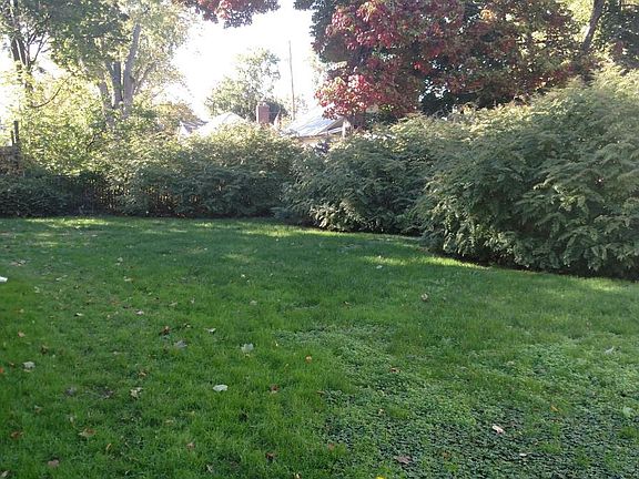 Side yard