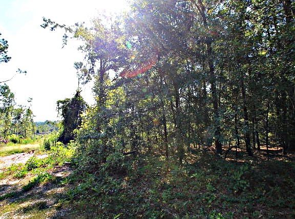 5th image of 1925 Tobacco Rd