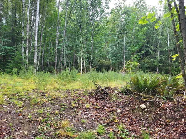 7531 Cowichan Lake Rd Lot B, Lake Cowichan, BC V0R 2G0