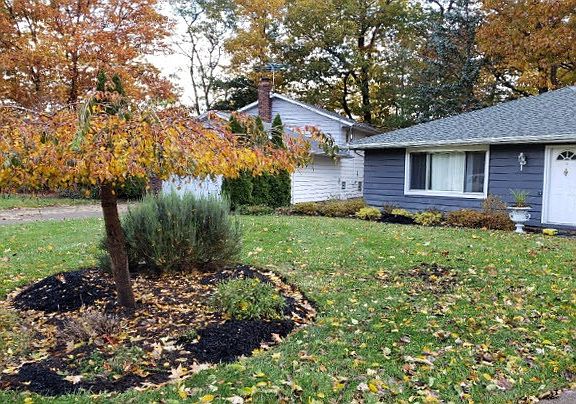 2nd image of 339 Balmoral Dr