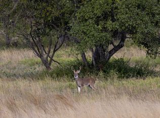 Augustus Ln, Dublin, TX 76446