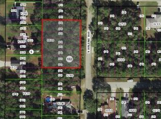 152 S Arlene Ave, Inverness, FL 34453