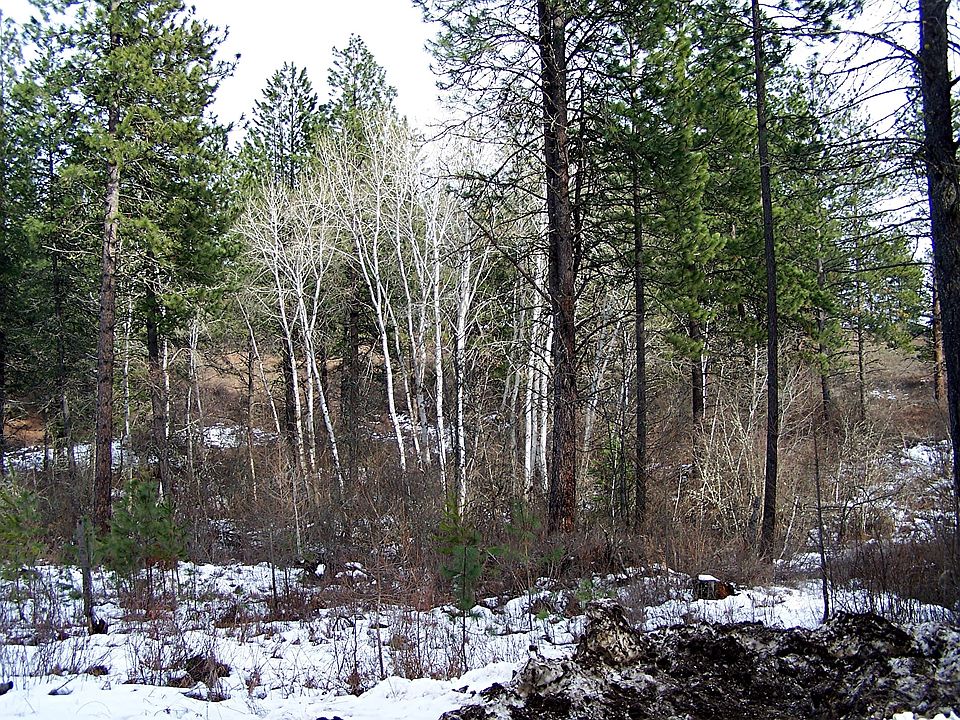 1st image of 2780 Blk Farm To Market Road