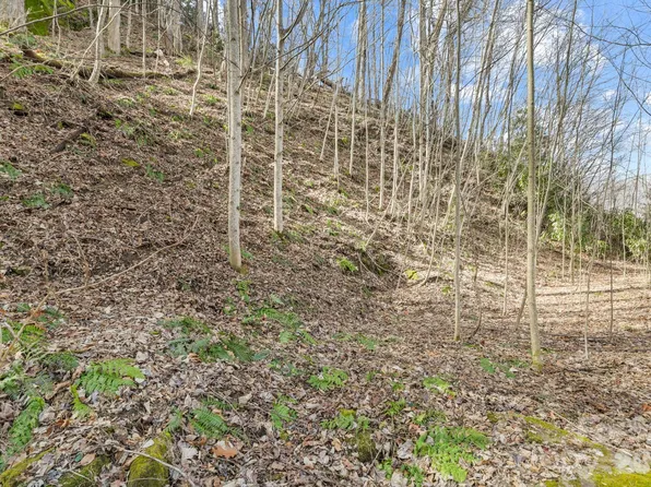 0 Lady Bug Ln W #26, Maggie Valley, NC 28751