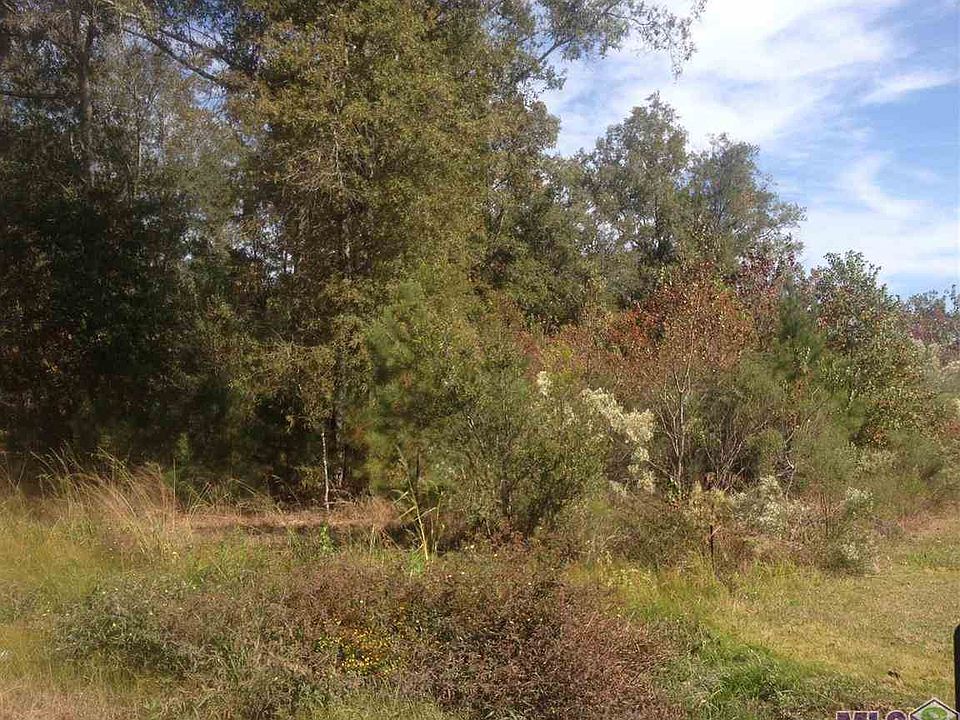 2nd image of S State Highway 441
