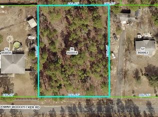 13251 Downy Woodpecker Rd, Brooksville, FL 34614