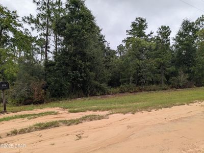 0 Castillo Dr, Alford, FL, 32420
