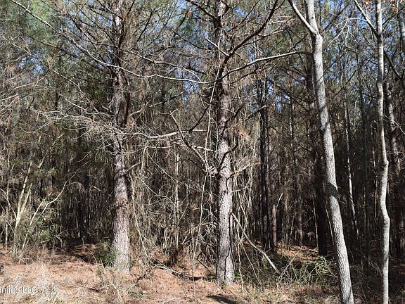 3rd image of 0 Johns Shiloh Rd