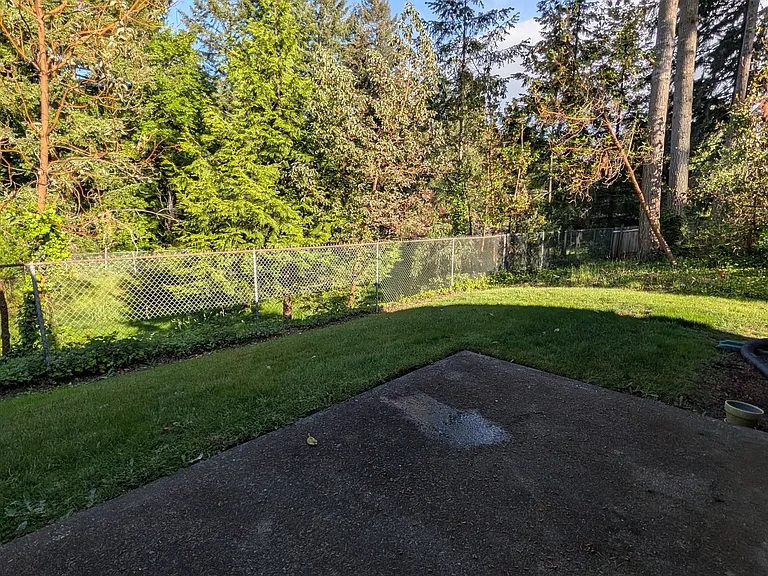 Backyard from sliding glass door. Not fully fenced.