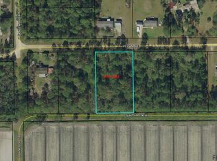 4887 Pecan Ave, Bunnell, FL 32110