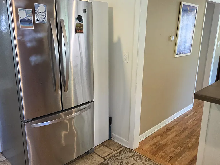 Kitchen fridge and living room path