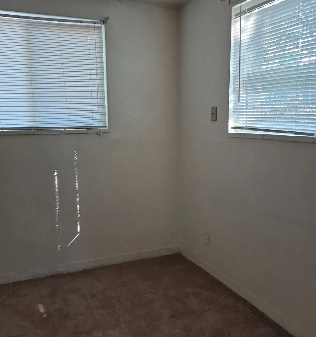 2 bed, 700 sqft, $1,395 — Photo 3