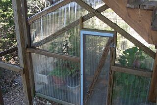 GREENHOUSE FOR THE PLANT LOVER