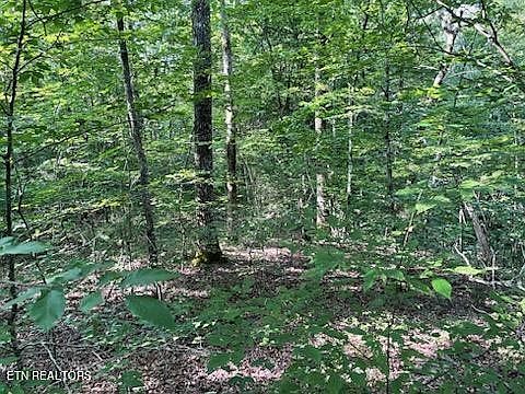 3rd image of 0 Bull Run Rd
