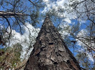 0 State Highway 21 Byp, Monroeville, AL 36460