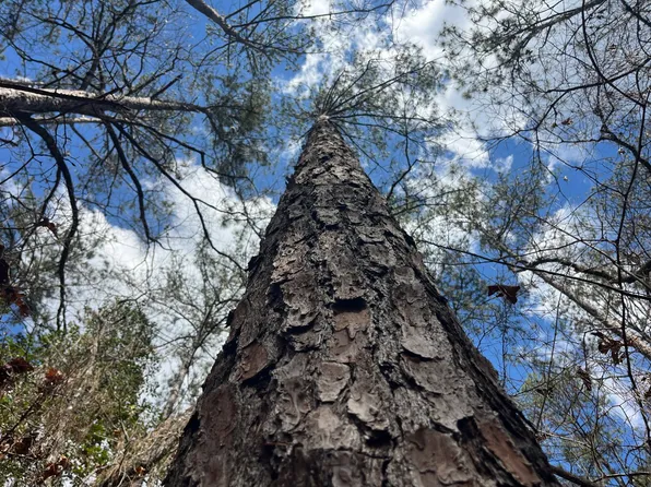 0 State Highway 21 Byp, Monroeville, AL 36460