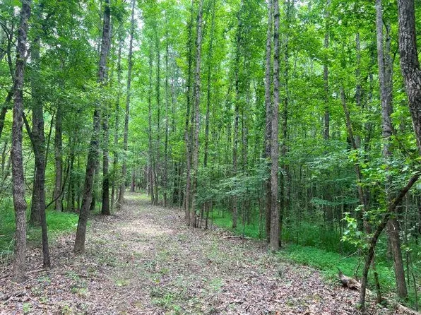 Lagoshen Dr, Moscow, TN 38057