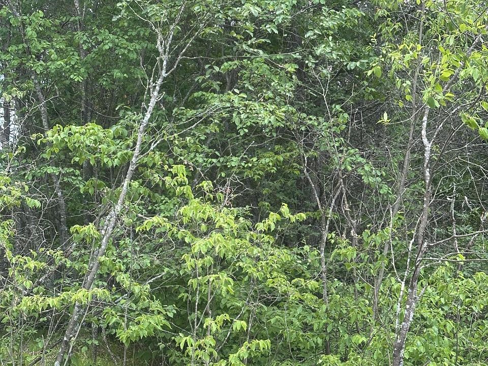1st image of Near Cth #Y-lot 1