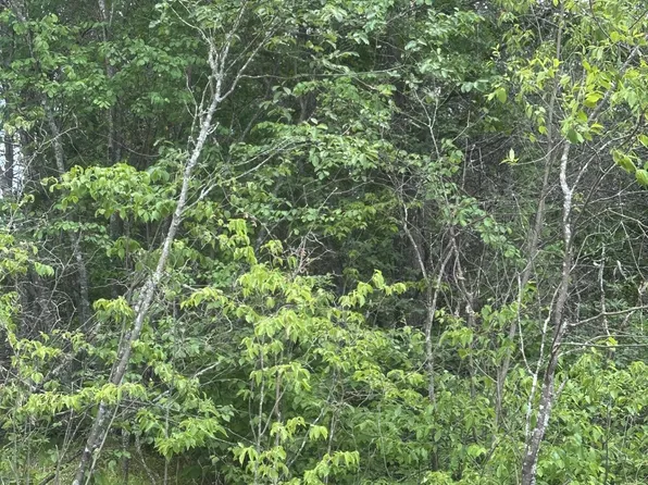 On Cth #Y-lot 1, Nekoosa, WI 54457