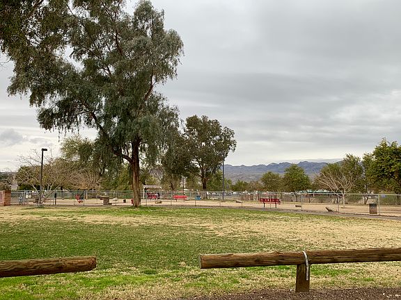 Dog park