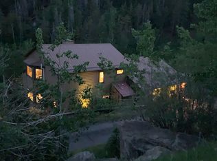 10376 Horizon View Dr, Morrison, CO 80465