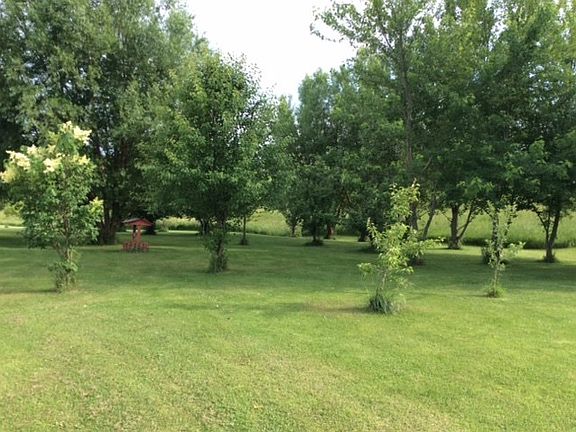 4th image of 57999 Jungle Rd