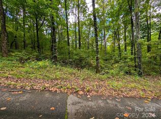 Horse Cove Rd, Canton, NC 28716