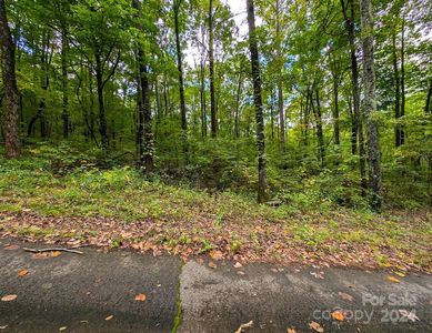 Horse Cove Rd, Canton, NC, 28716