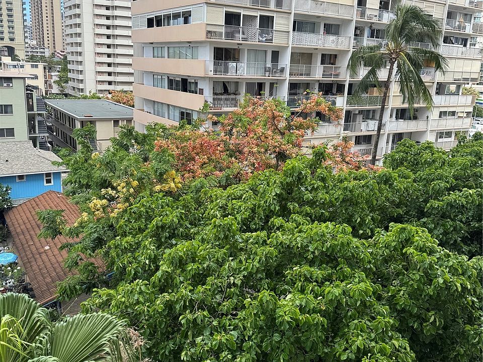 1st image of 430 Keoniana St APT 113