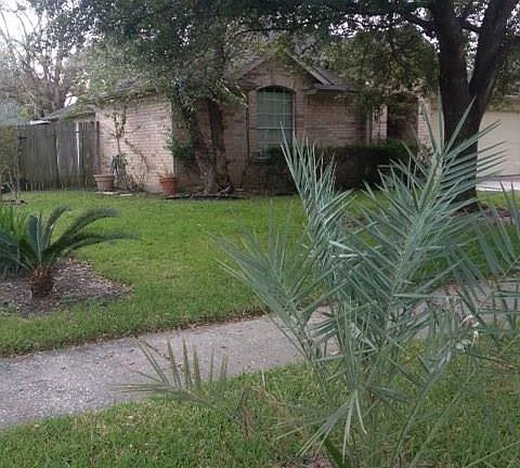 3rd image of 4319 Tracemeadow Dr