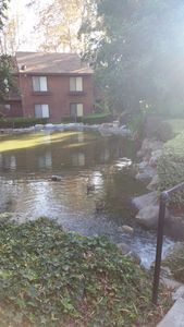 320 W Walnut 24 St, Ontario, CA, 91762