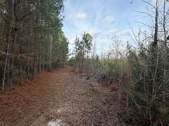 3rd image of 3 County Road 239