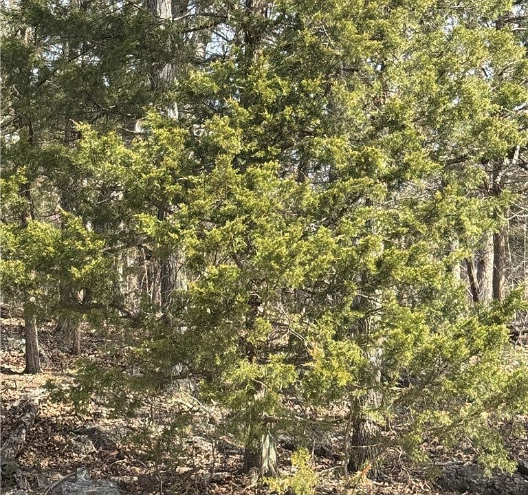 1st image of Cambridge Dr
