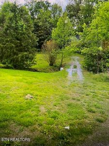109 Greasy Cove Rd, Cosby, TN, 37722