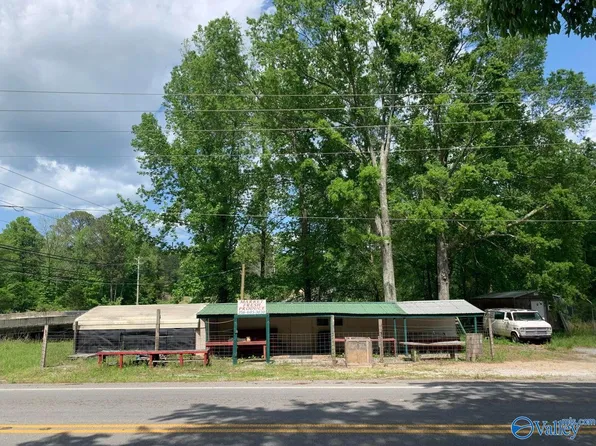 1770 State Highway 117, Flat Rock, AL 35966