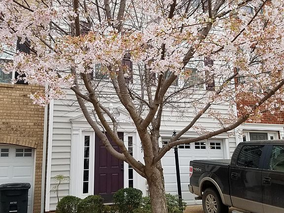 2nd image of 8047 Belton Cir