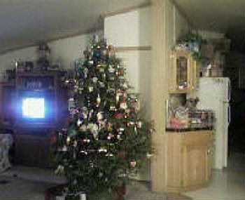 Mobile Homes For Sale By Owner