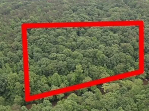Old Pineywoods Rd, Jasper, AL 35504