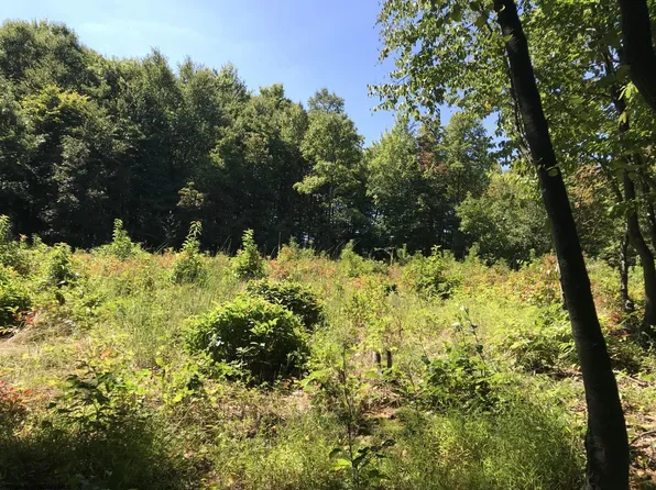 Tb S Preston Hwy, Tunnelton, WV 26444