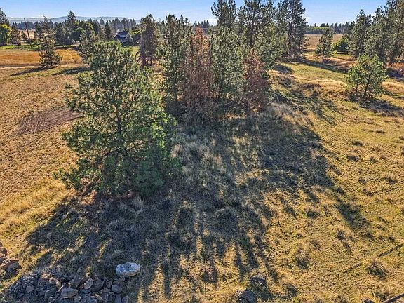 5th image of 4806 S Abbott Rd