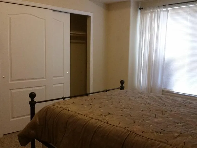 Second spacious bedroom with spacious closet and ceiling fan