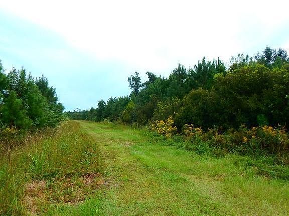 5th image of 69 Project Road LOT 69 Acres