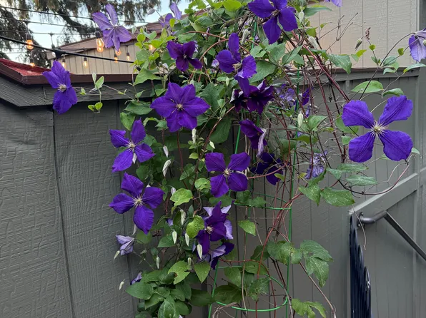 4602 Greenbriar Ct #1, Boulder, CO 80305