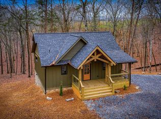 2393 Ada St, Blue Ridge, GA 30513