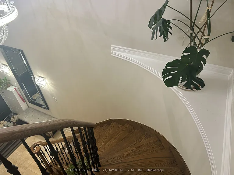 52 Brockdale St — Photo 12